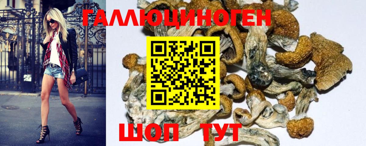 Троицк  Галлюциногенные грибы Psilocybe  Псилоцибиновые грибы Cubensis  Вход с VPN 